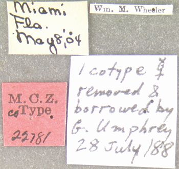Media type: image;   Entomology 22781 Aspect: labels